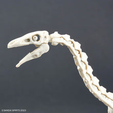 Load image into Gallery viewer, PLANNOSAURUS Therizinosaurus

