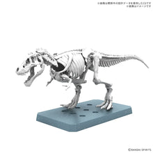 Load image into Gallery viewer, Plannosaurus Tyrannosaurus Snowfall Area Ver.
