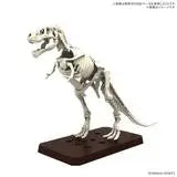 Load image into Gallery viewer, Plannosaurus Tyrannosaurus 1915
