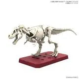Load image into Gallery viewer, Plannosaurus Tyrannosaurus Tropical Jungle Ver.
