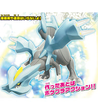 Load image into Gallery viewer, POKEPLA SELECT SERIES 21 KYUREM
