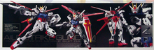 Load image into Gallery viewer, RG 1/144 GAT-X105 AILE STRIKE GUNDAM
