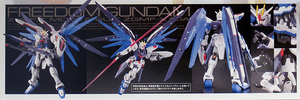 RG 1/144 ZGMF-X10A FREEDOM GUNDAM