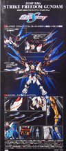 Load image into Gallery viewer, PG 1/60 STRIKE FREEDOM GUNDAM

