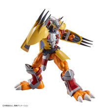 Load image into Gallery viewer, FIGURE-RISE STANDARD WARGREYMON

