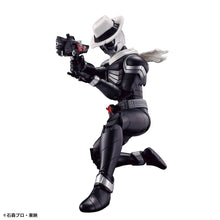Load image into Gallery viewer, Figure-rise Standard Kamen Rider SKULL
