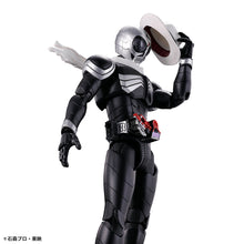 Load image into Gallery viewer, Figure-rise Standard Kamen Rider SKULL
