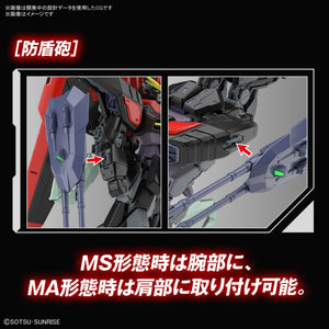 FULL MECHANICS Raider Gundam (1/100)