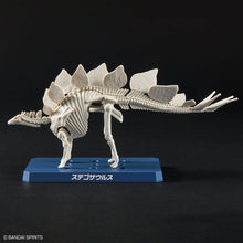 Load image into Gallery viewer, DINOSAUR PLASTIC MODEL KIT BRAND STEGOSAURUS
