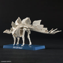 Load image into Gallery viewer, DINOSAUR PLASTIC MODEL KIT BRAND STEGOSAURUS
