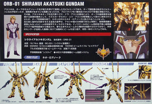 HG 1/144 SHIRANUI AKATSUKI GUNDAM