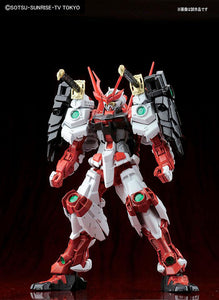 MG 1/100 SENGOKU ASTRAY GUNDAM