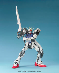PG 1/60 STRIKE GUNDAM