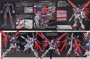 RG 1/144 ZGMF-X42S DESTINY GUNDAM