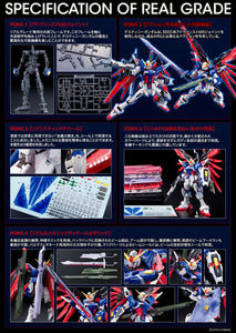 RG 1/144 ZGMF-X42S DESTINY GUNDAM